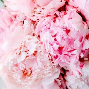 Meet your Posher, ReBloom Closet